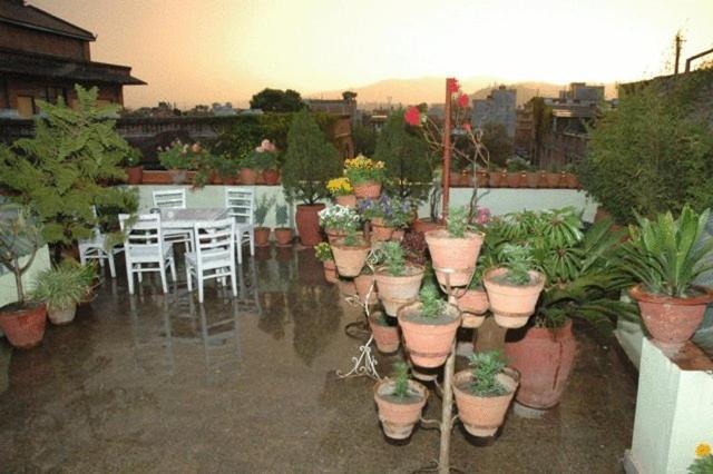 Hotel Kathmandu View Exteriör bild
